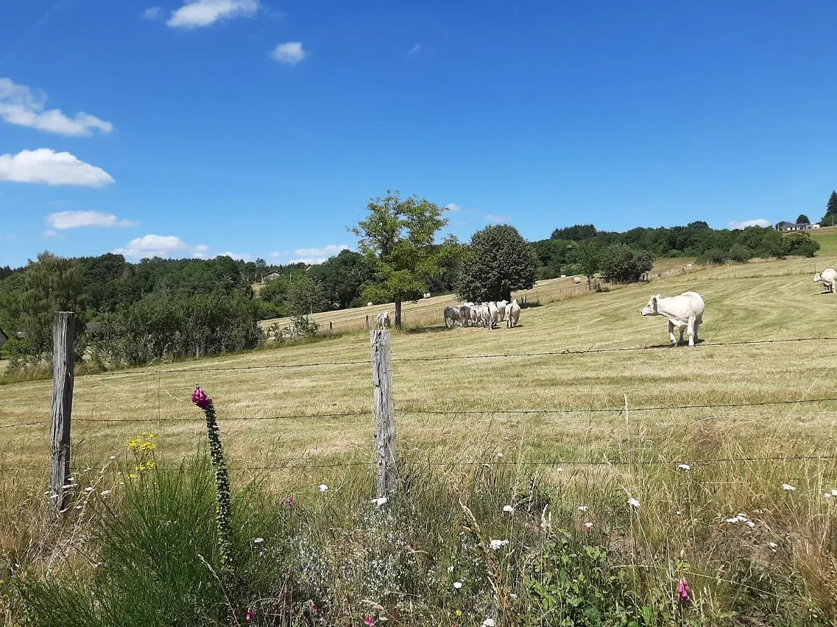 Holiday home Gite Du Jardin Fleuramour Lachaux